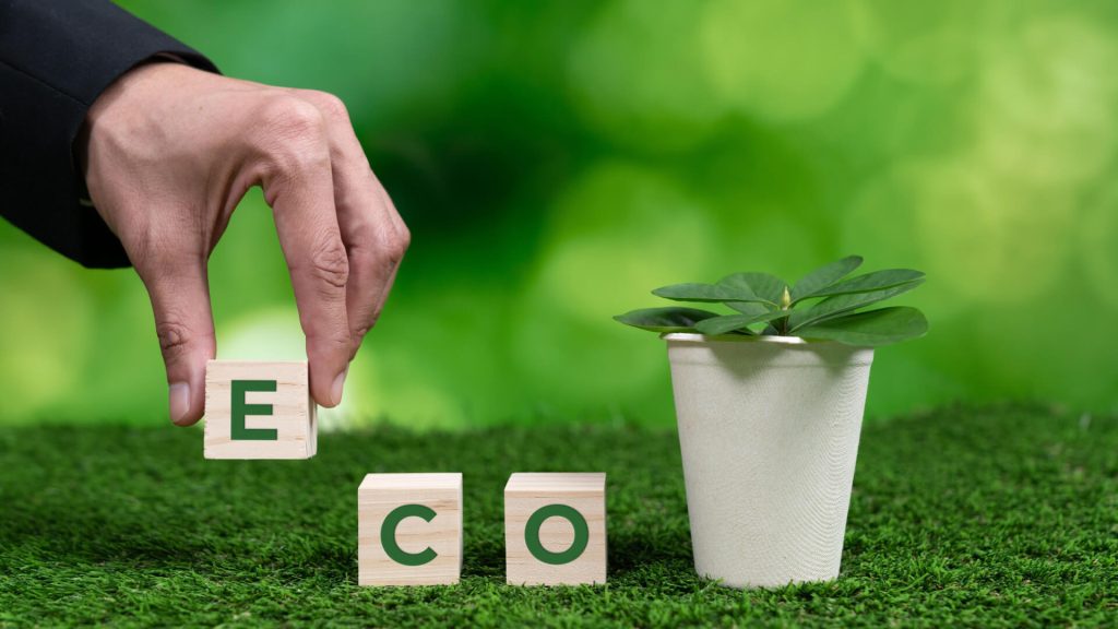 What is the most eco-friendly paper? 